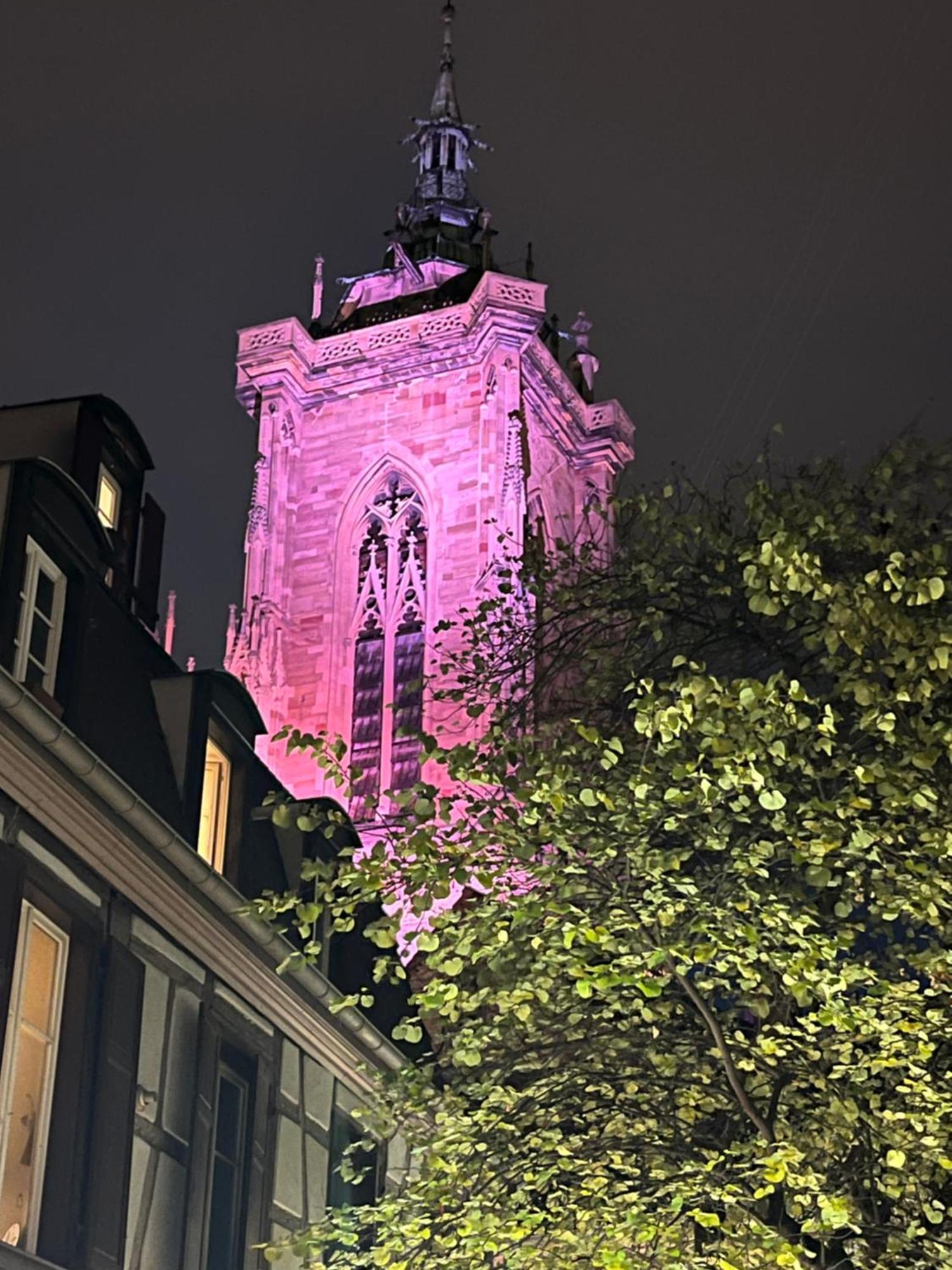 Le Venise, Parking Prive, Neuf & Spacieux 科尔马 外观 照片